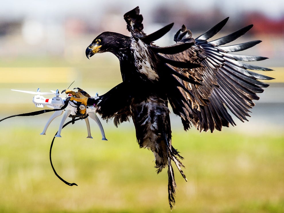 Is that a drone, coming to take your job? | The Independent | The ...