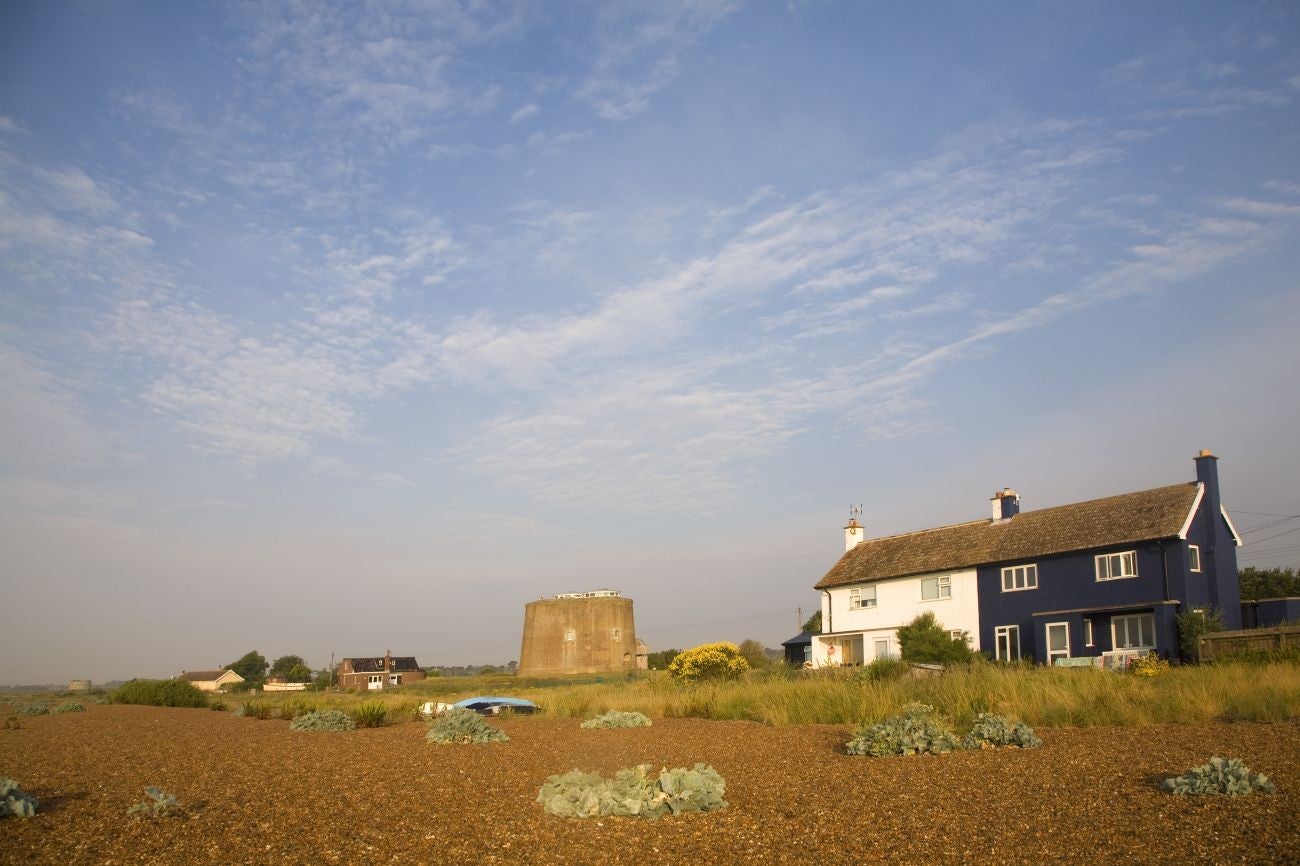 The coastal hamlet of Shingle Street is home to 1,352 non-human life-forms