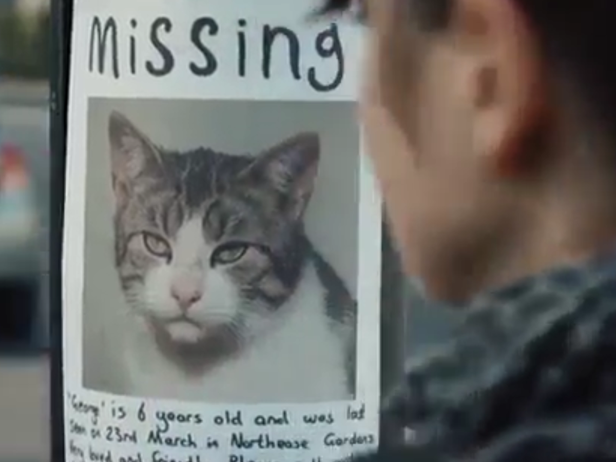 National lottery suggests you’re more likely to win a game than find your missing cat in