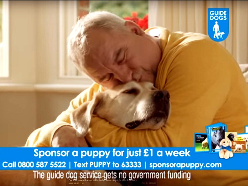 The Guide Dogs for the Blind Association had a sponsorship drive at Christmas that it said was aimed at adults