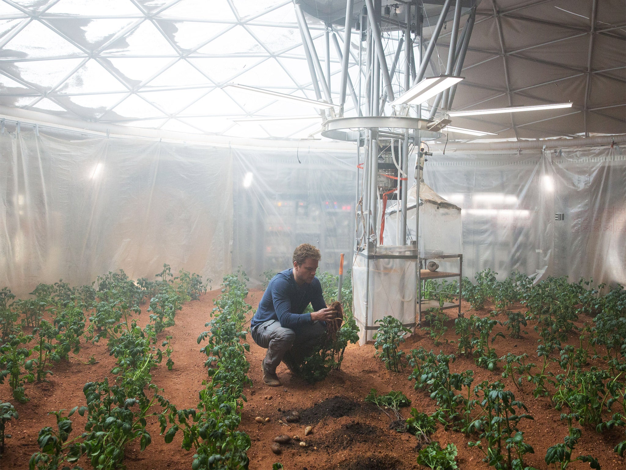 Matt Damon cultivating potatoes in 'The Martian'
