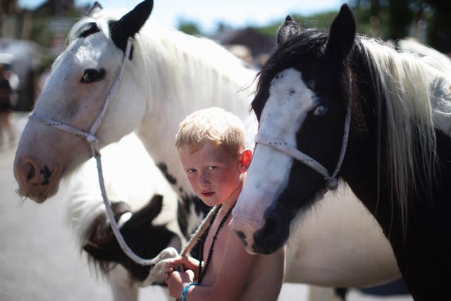 A boy walks his horses down the street at the Appleby Horse Fair, a popular gathering for the traveller community