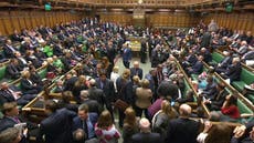 Parliament could stop Brexit – but they lack the courage to do so