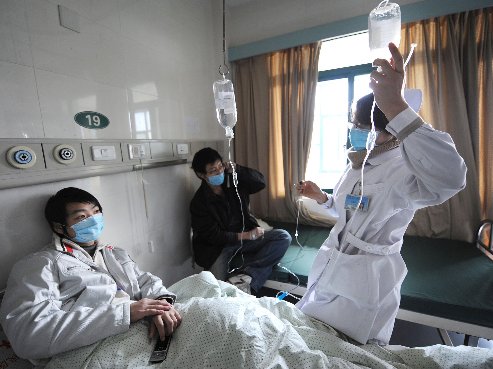 Swine flu caused pandemic in Asia in 2009