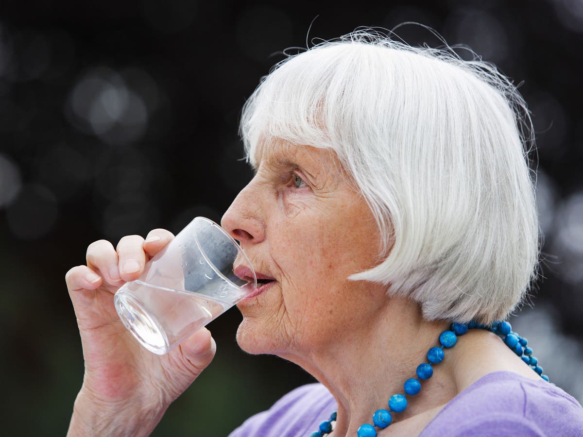 The Role of Polyphenols in Cognitive Longevity The Role of Polyphenols in Cognitive Longevity