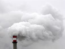 Carbon dioxide levels 'exploded last year to reach record highs'