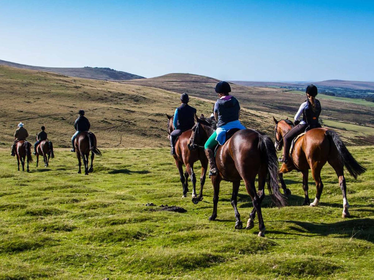 Western Riding On Dartmoor