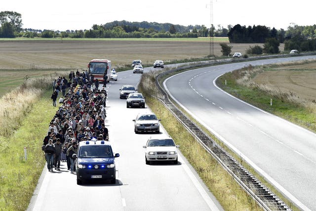 refugees walk along the motorway from Rodby, Denmark