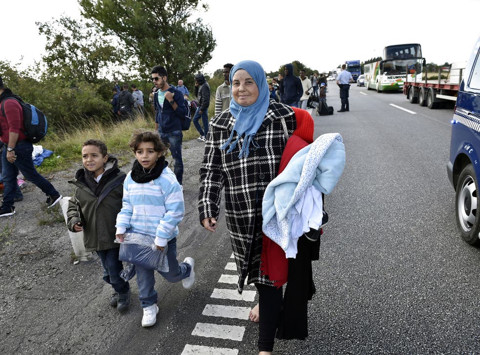 Lisbeth Zornig picked up a Syrian family as they attempted to walk to Sweden along a Danish motorway on 7 December 2015