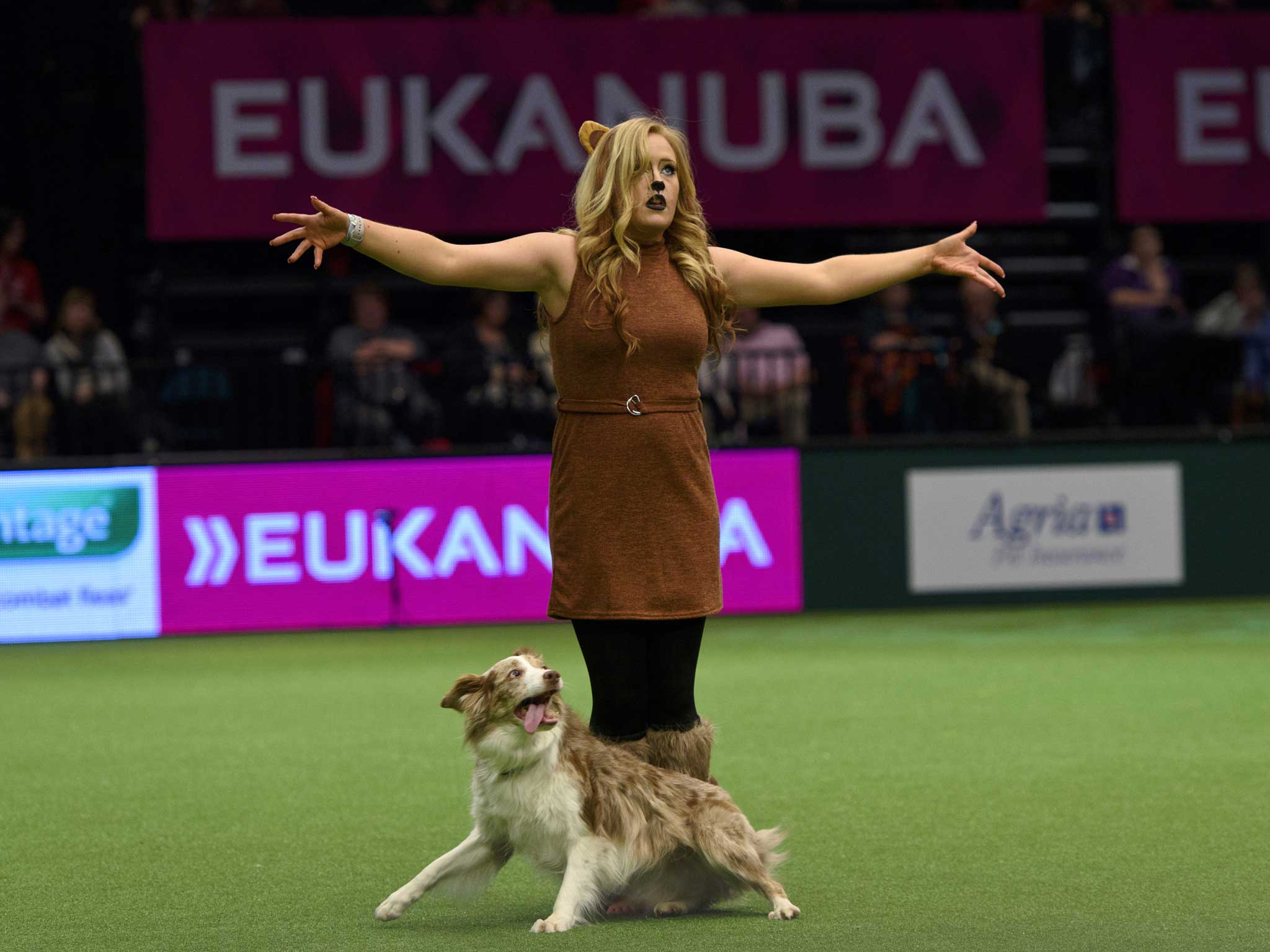Crufts Best In Show is a mustwatch spectacle The Independent The