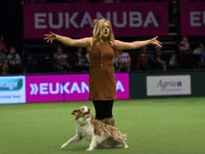 Read more

Crufts Best In Show is a must-watch spectacle