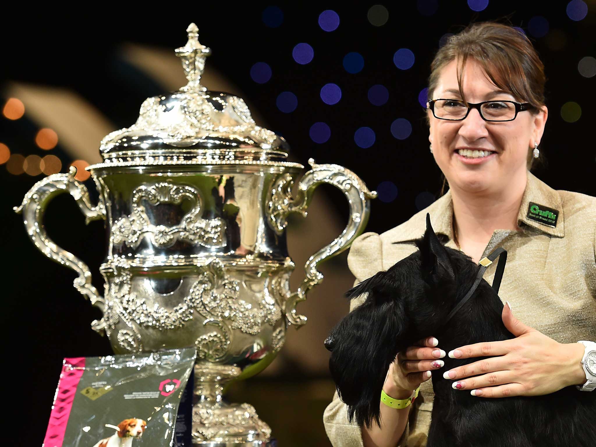 Victorious: Knopa, a Scottish Terrier from Russia, scooped the prestigious Best in Show title at last year's show