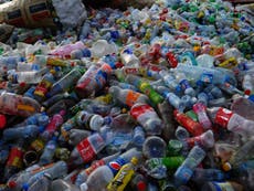 Read more

After hearing these facts, I decided to give up single-use plastic
