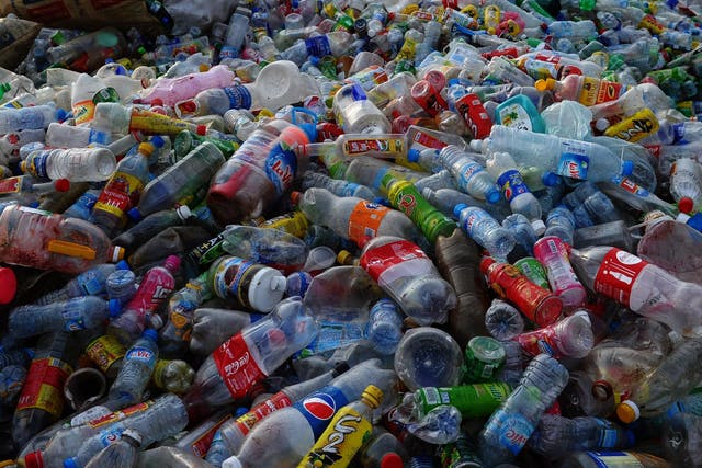 PET makes up nearly one-sixth of the world’s annual plastic production 