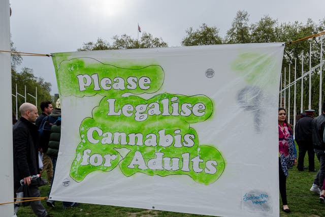 Cannabis campaigners outside Westminster last year calling for the legalisation of the drug
