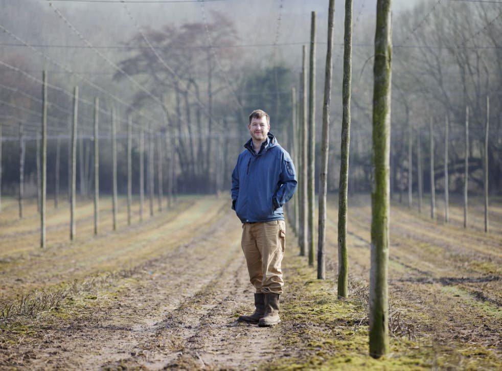 Will Kirby in one of his fields freshly planted with hops