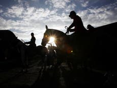 Animal rights charity claims foxhunters riding quad bikes 'seriously assaulted staff'