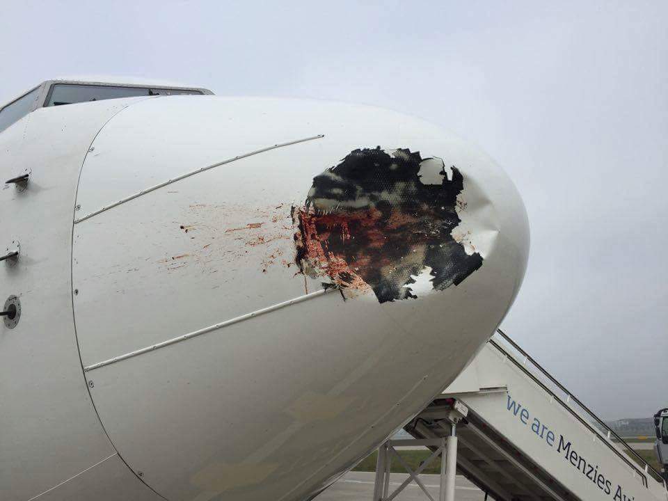 The plane was grounded for 21 hours before the nose was replaced