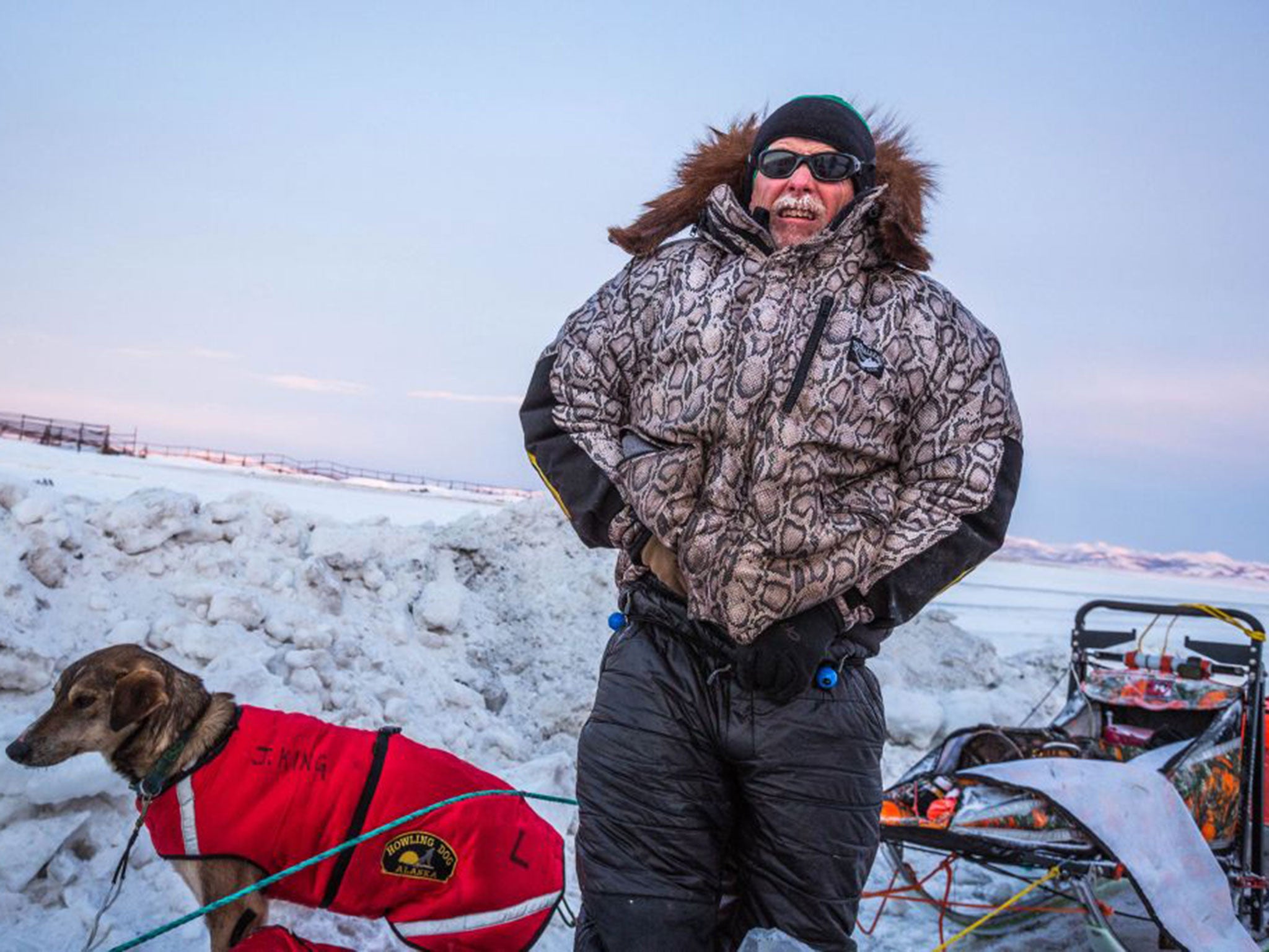 Jeff King was reportedly struck suddenly from behind at high speed while mushing in the race. His 3-year-old dog Nash was killed in the collision