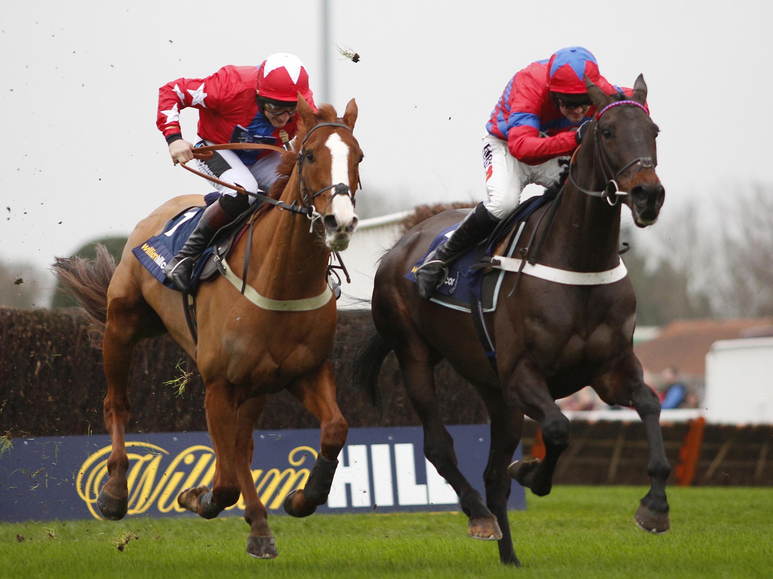 Sire De Grugy (L) and Sprinter Sacre (R)