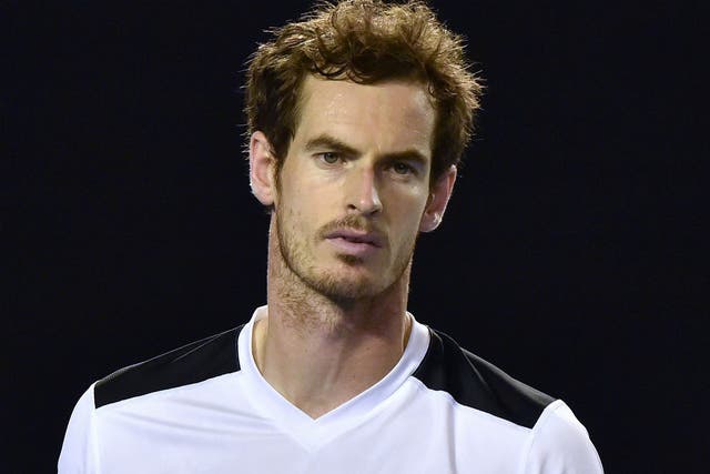 Andy Murray at the Australian Open 2016