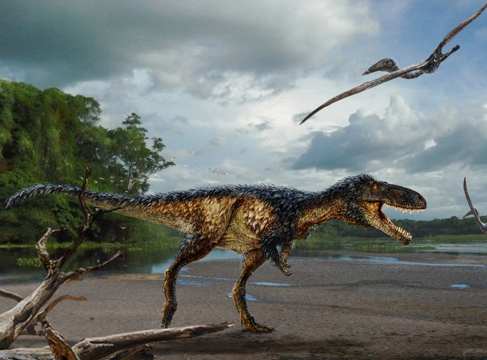 Newly-discovered dinosaurs had long legs, a skull studded with sharp teeth and was probably a fast runner