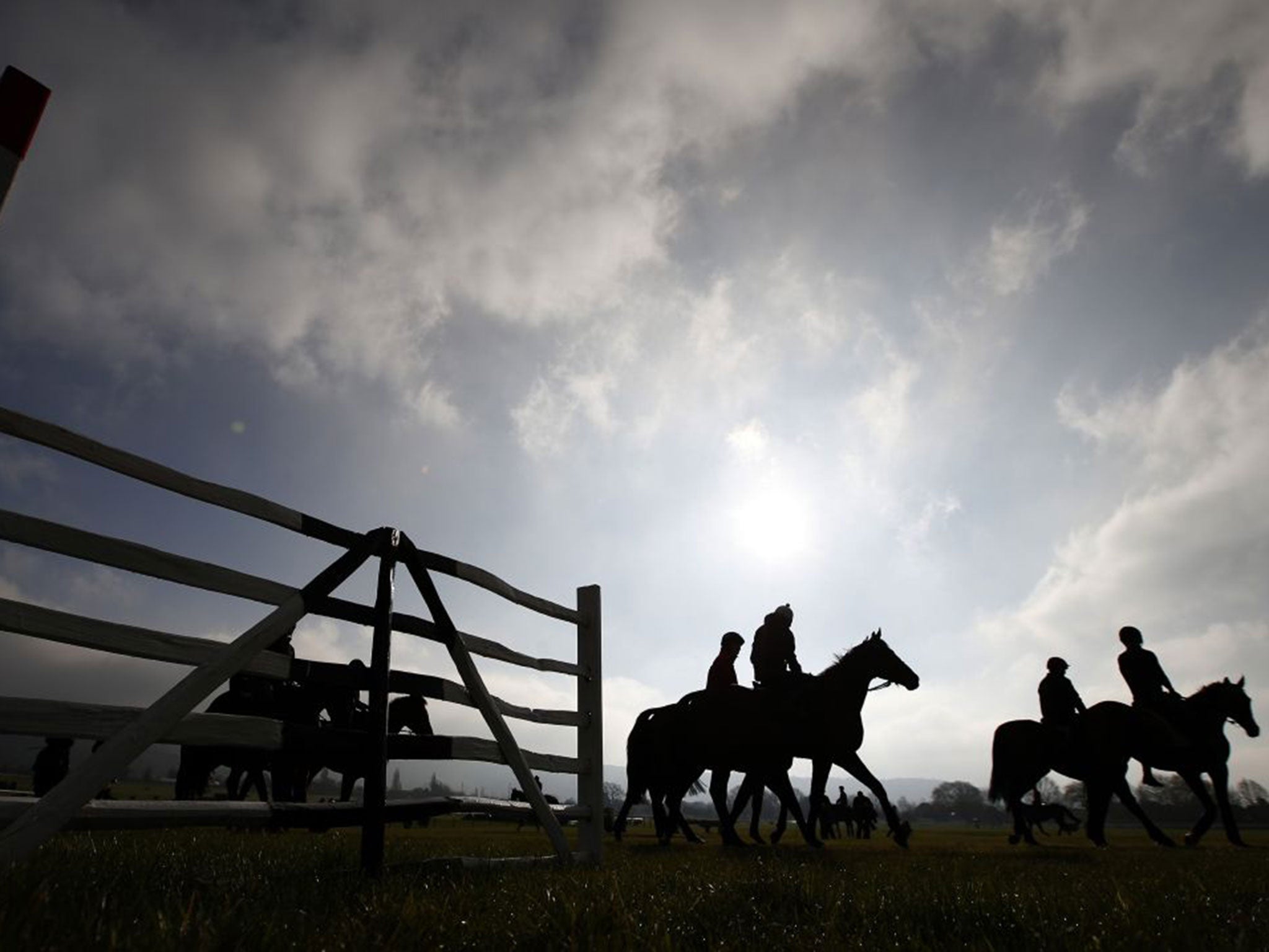 Willie Mullins’ horses exercise at Cheltenham on Monday