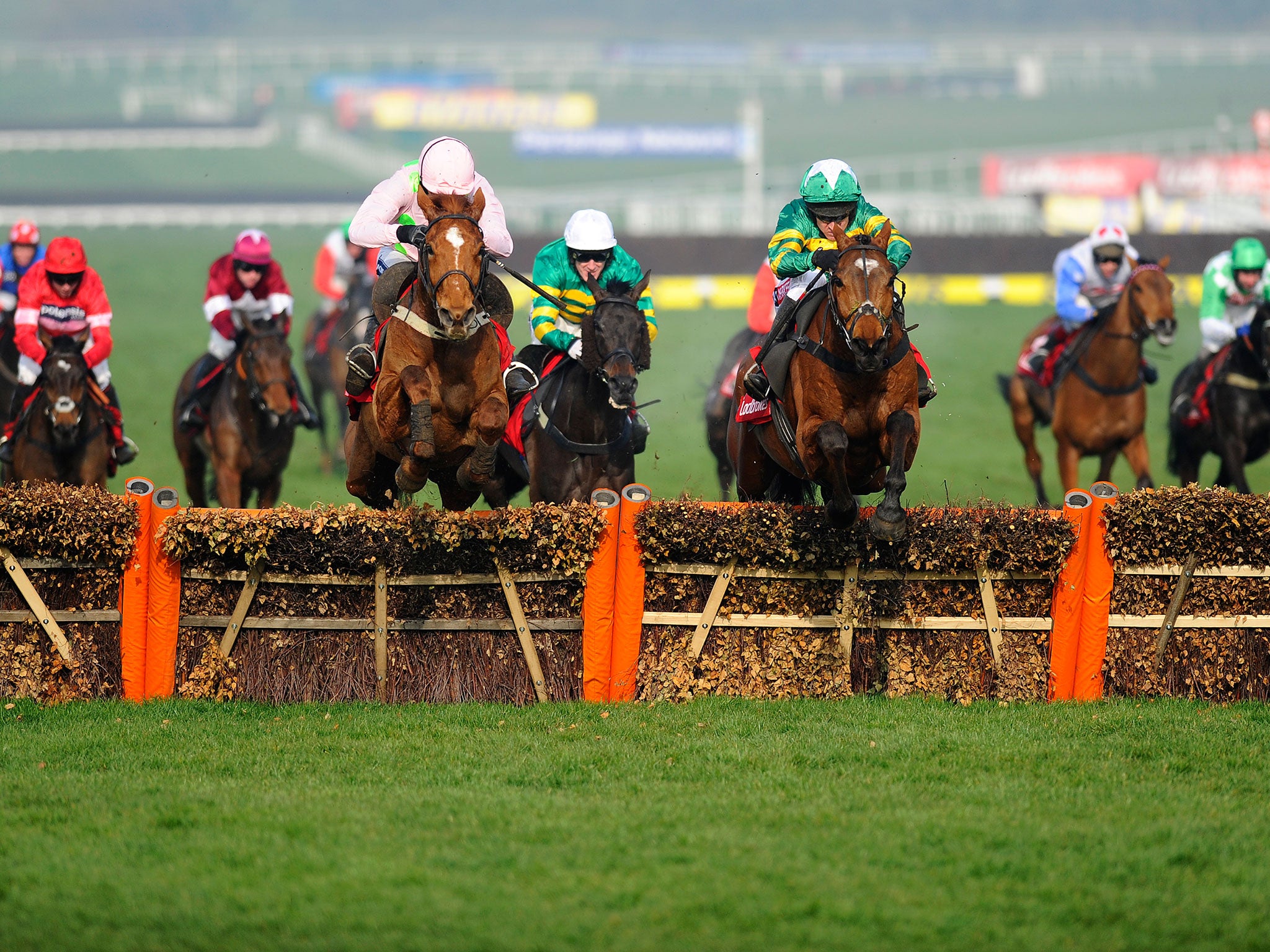 Annie Power (left) runs in the Champion Hurdle at 15.30