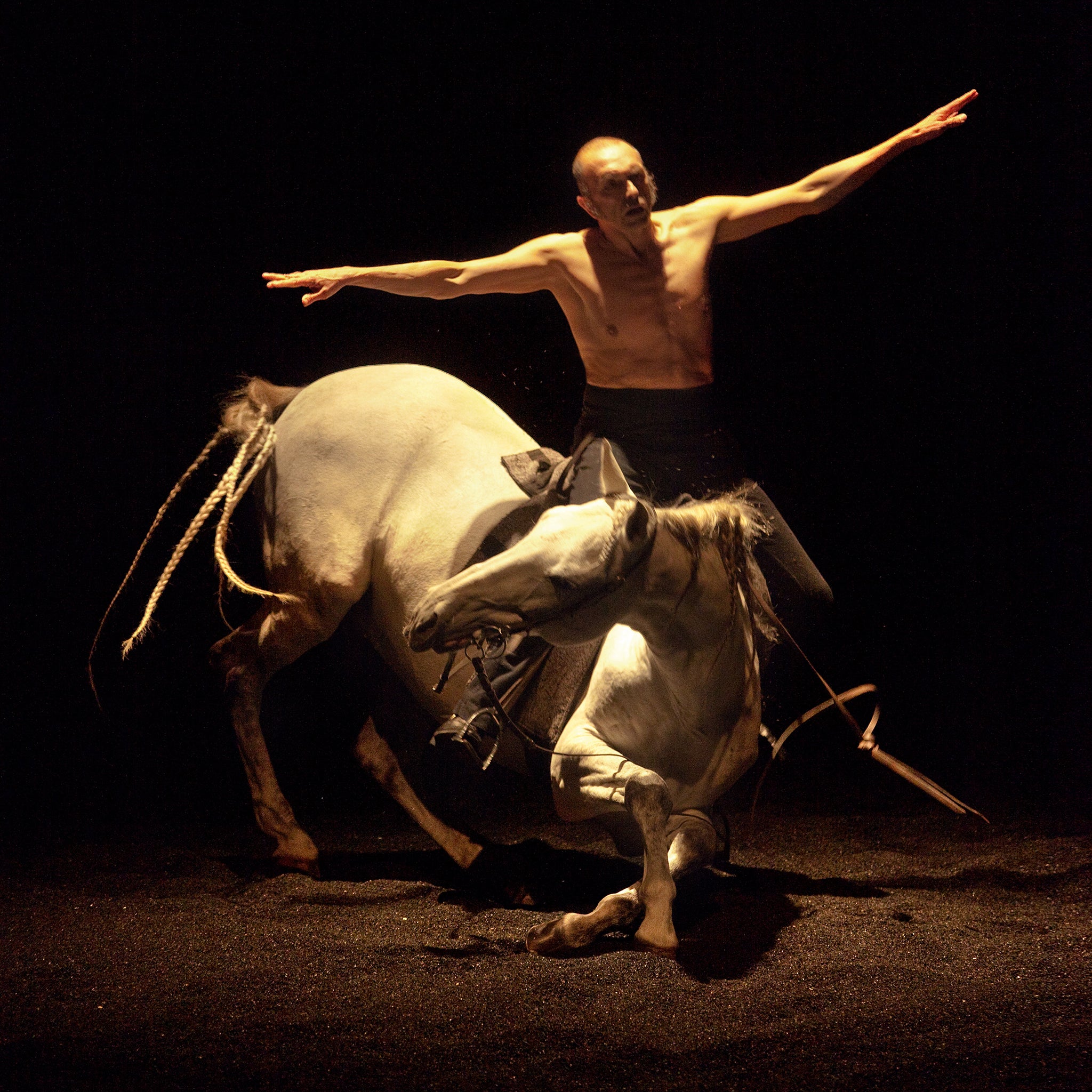 Танец с лошадью. Испанские Танцующие лошади. Шоу Бартабаса фото.