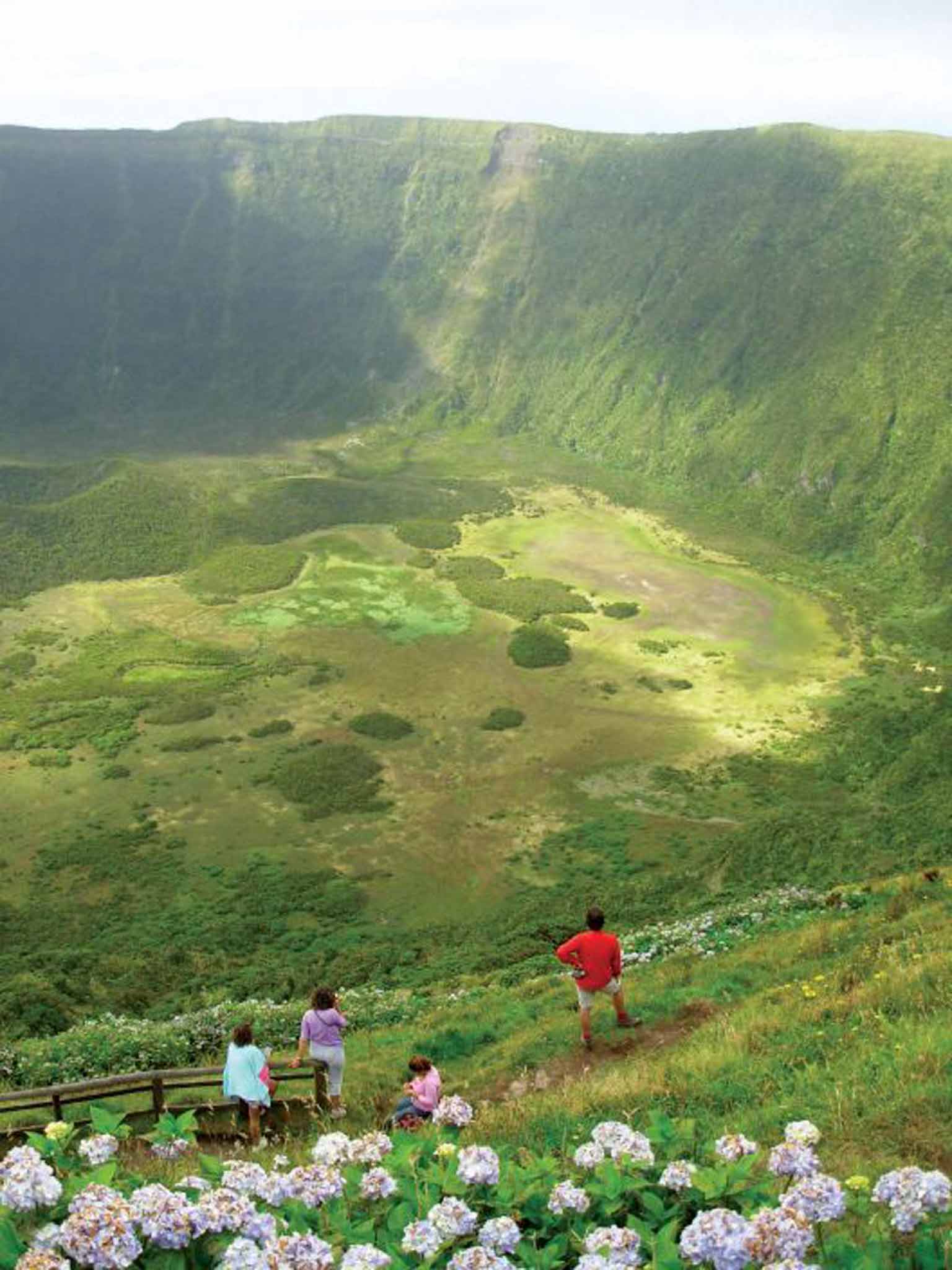 In bloom: the Azores' volcanic landscape