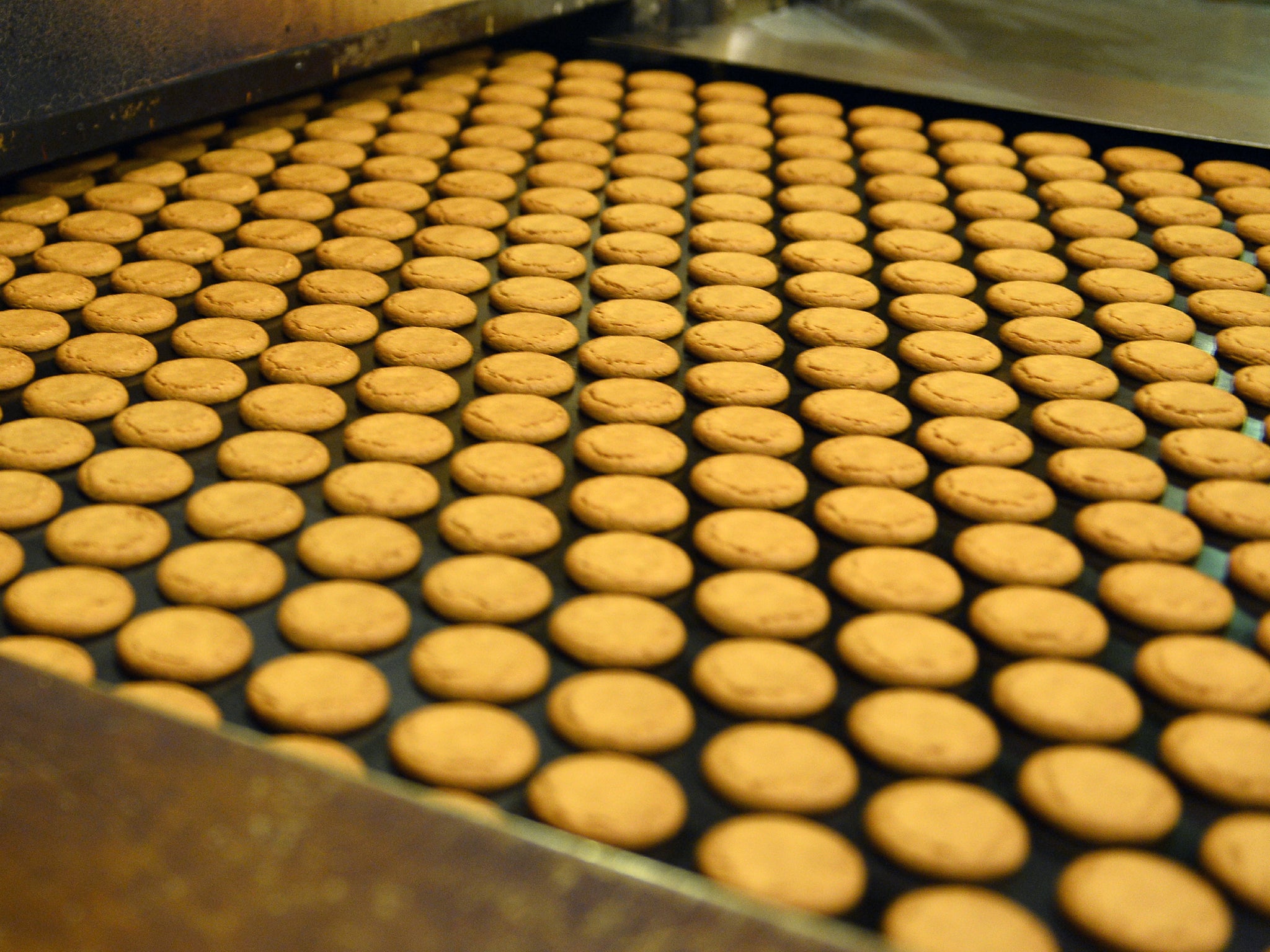 Ginger nuts are starting to march off the production lines once again.