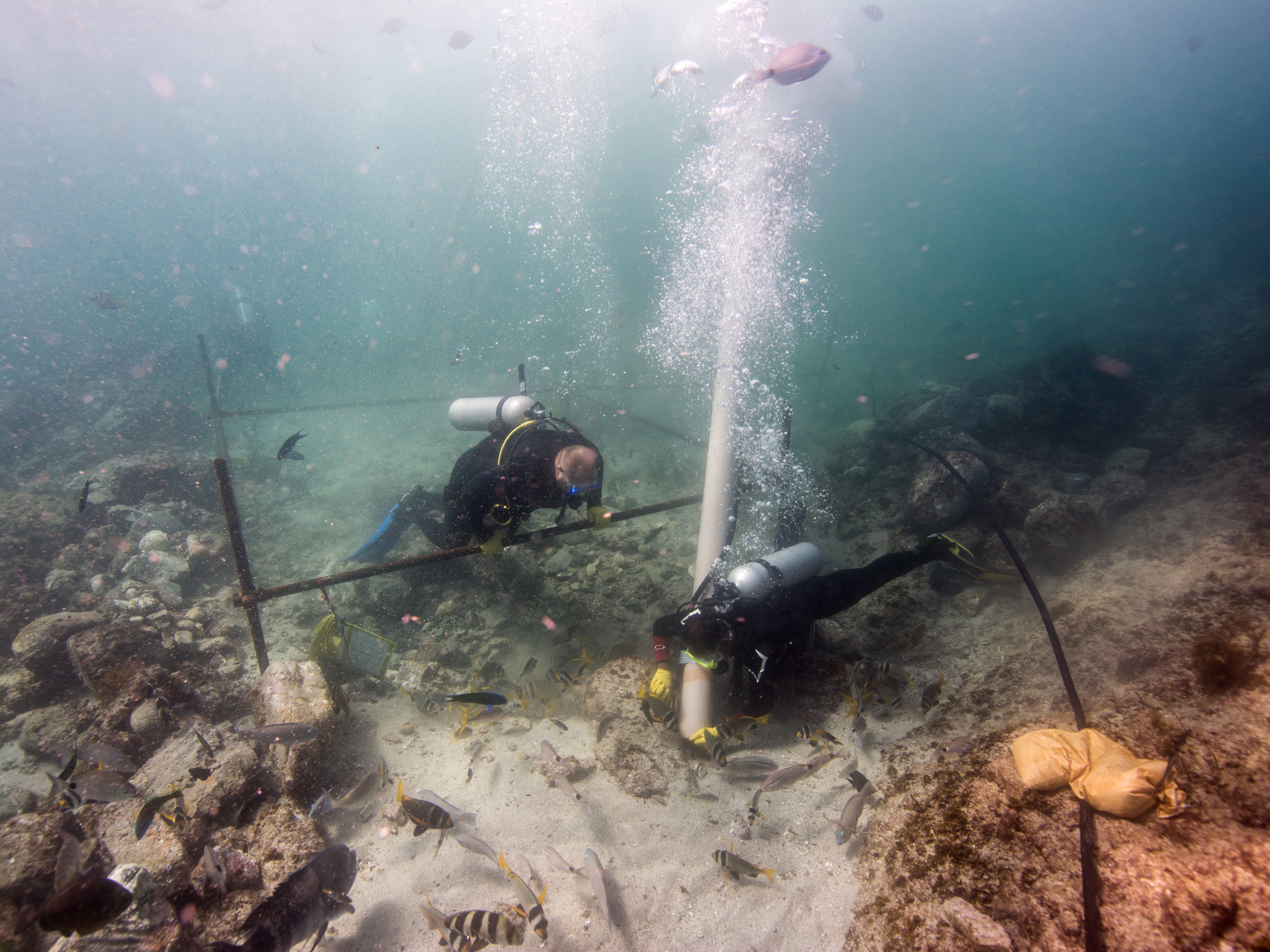 Portuguese Shipwreck Discovered In Oman Believed To Be Vasco Da Gama S Esmeralda The Independent