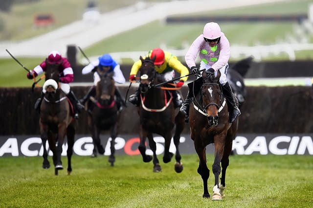 Douvan and Ruby Walsh leave their rivals toiling in the Arkle Trophy