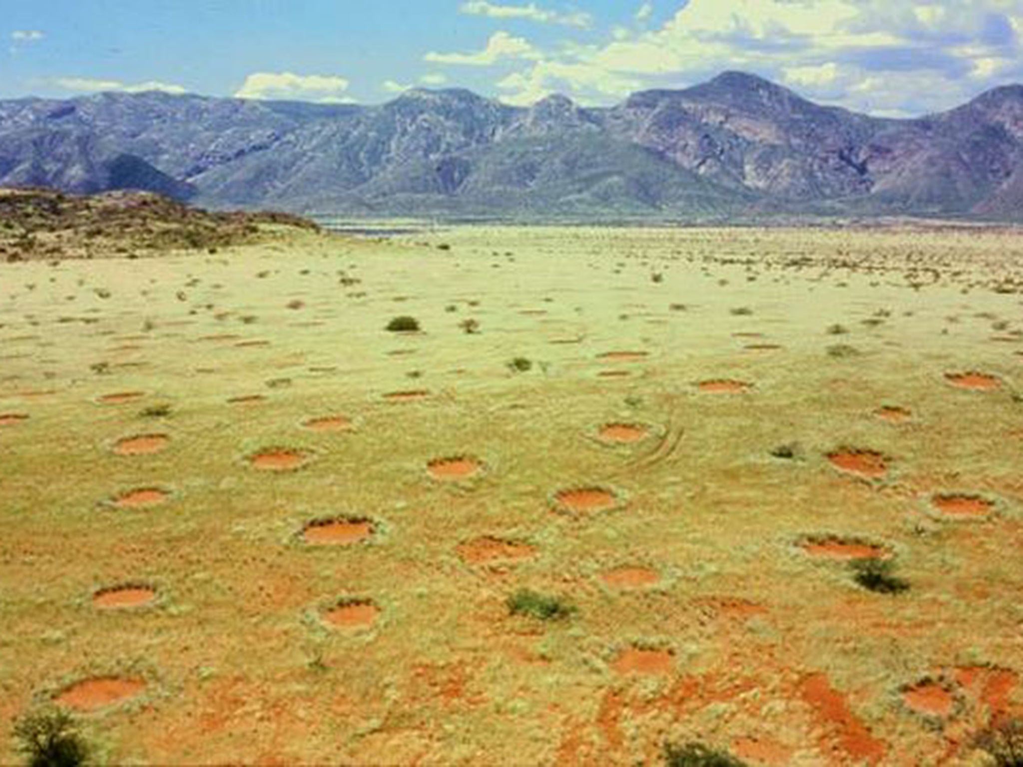 Solving the puzzle of 'Fairy Circle' that mysteriously appear in these  deserts