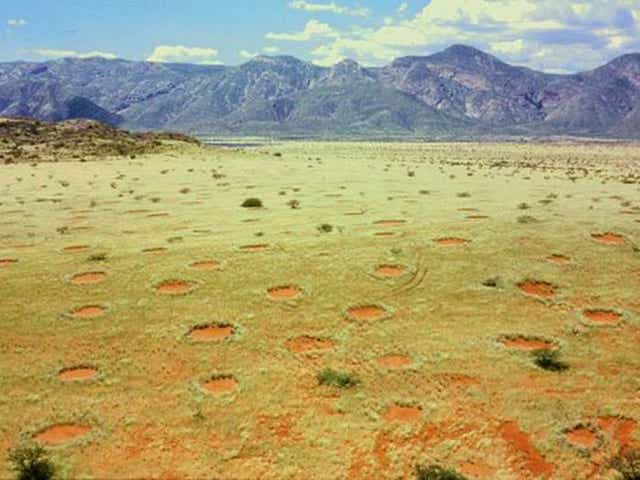 Fairy circles have brought countless scientists to the Namib desert