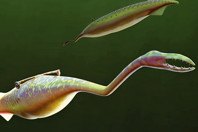 How the Tully Monster might have looked  300 million years ago