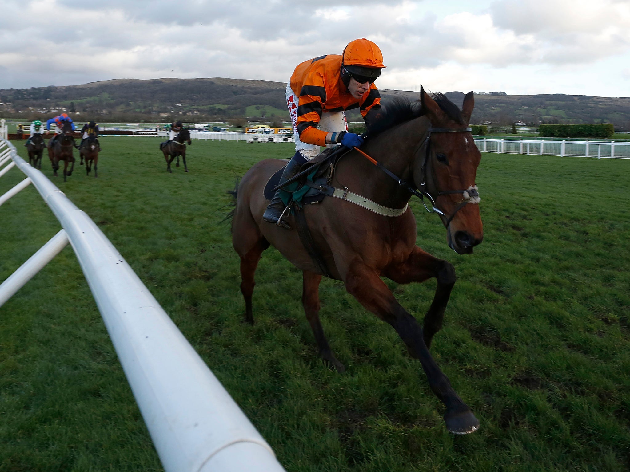 Tom Scudamore riding Thistlecrack clear the last to win The galliardhomes.com Cleeve Hurdle Race at Cheltenham in January