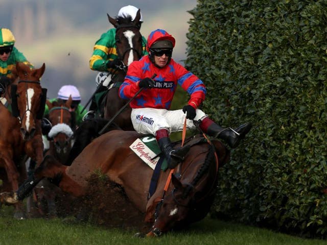 Balthazar King and Richard Johnson slither on falling at the bank obstacle in the Cross-Country Chase at Cheltenham