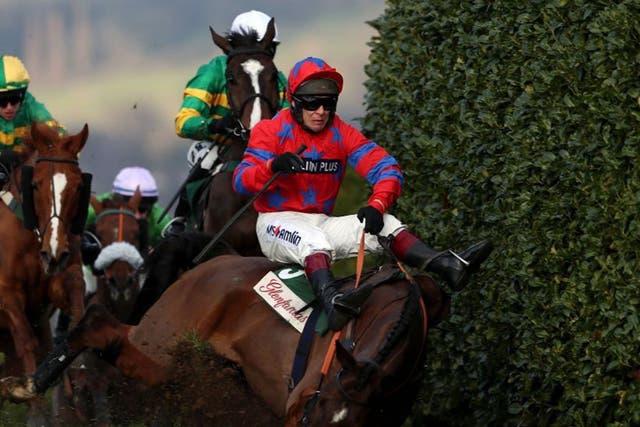 Balthazar King and Richard Johnson slither on falling at the bank obstacle in the Cross-Country Chase at Cheltenham