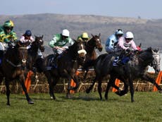 Read more

Redemption for Russell as Mall Dini wins the Pertemps Handicap Hurdle