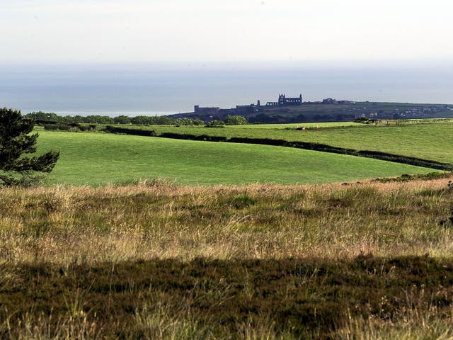 Countryside near the proposed site for the York Potash Mine in the North York Moors National Park