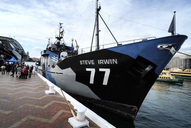 The environmental activist Sea Shepherd's main ship, the Steve Irwin, was in 'high seas pursuit' of one of six Chinese fishing boats that it claimed had been fishing illegally in the Indian Ocean
