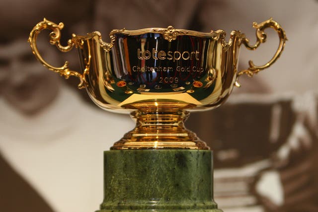 The Cheltenham Gold Cup is up for grabs on Friday