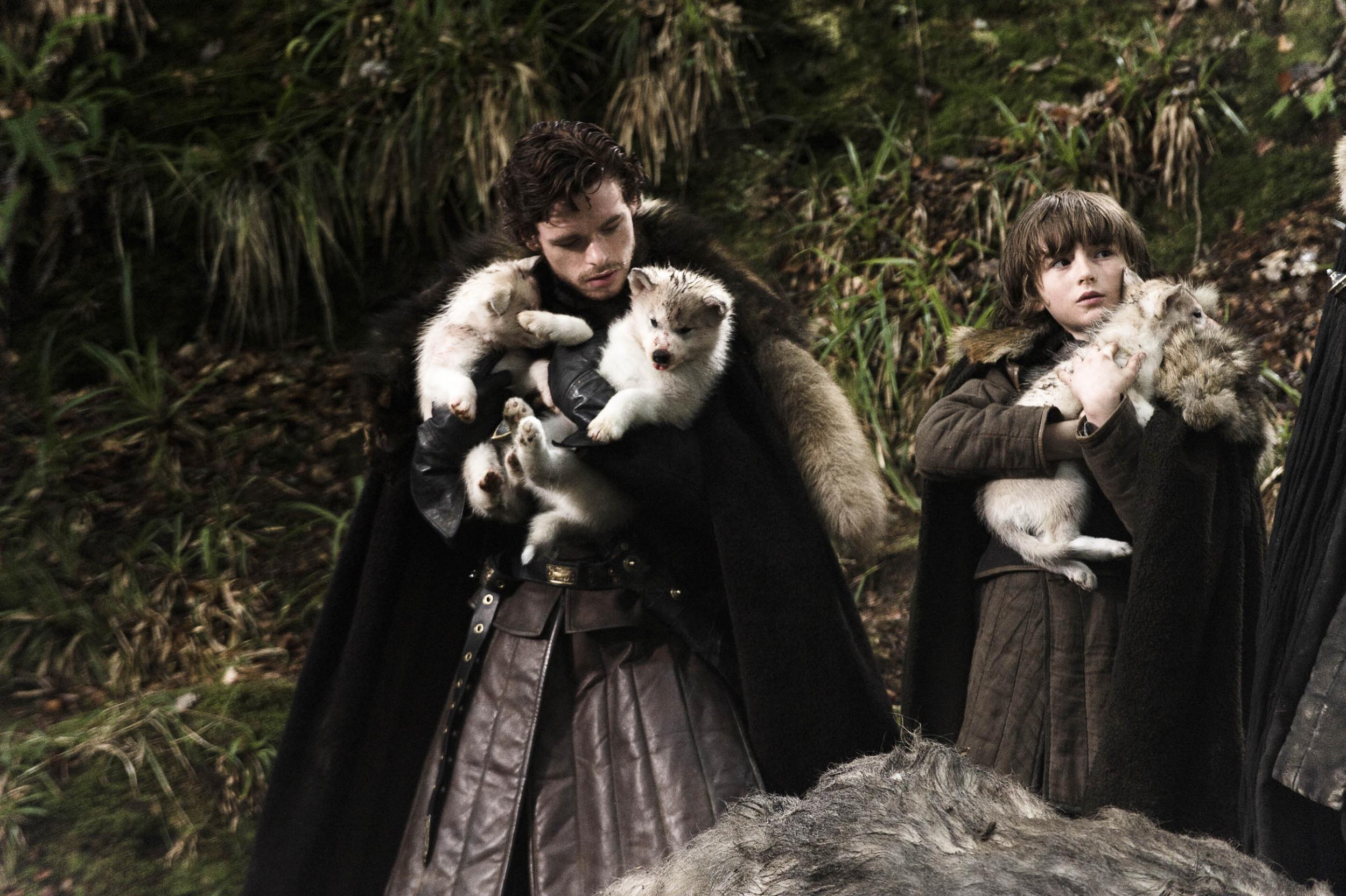 Robb and Bran with their dire wolves