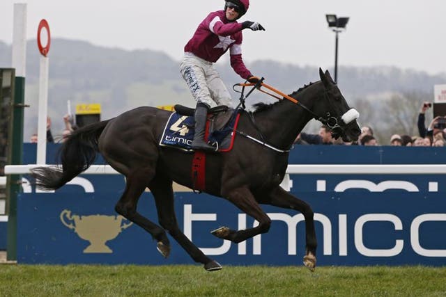 Bryan Cooper celebrates after riding Don Cossack to victory in the Cheltenham Gold Cup