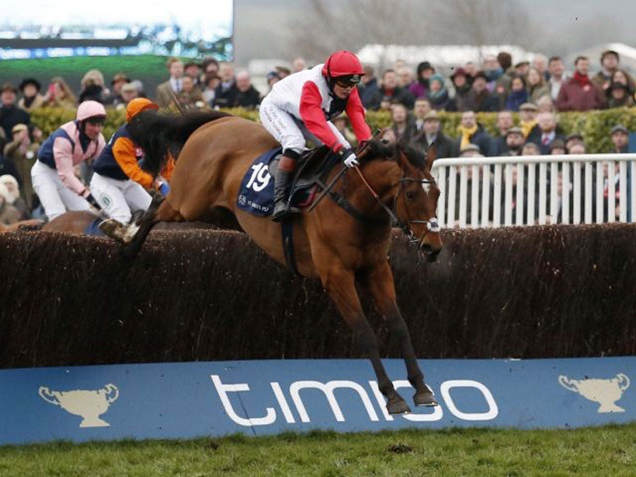 &#13;
Pendleton finished in fifth on her Cheltenham Festival debut&#13;