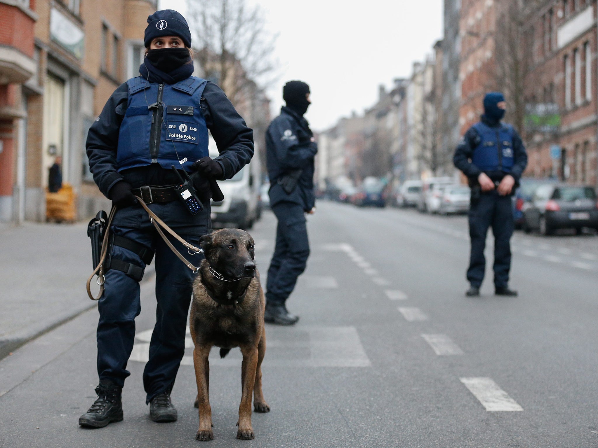 A Belgian police's dog handler helps to seal off the area during the anti-terror operation