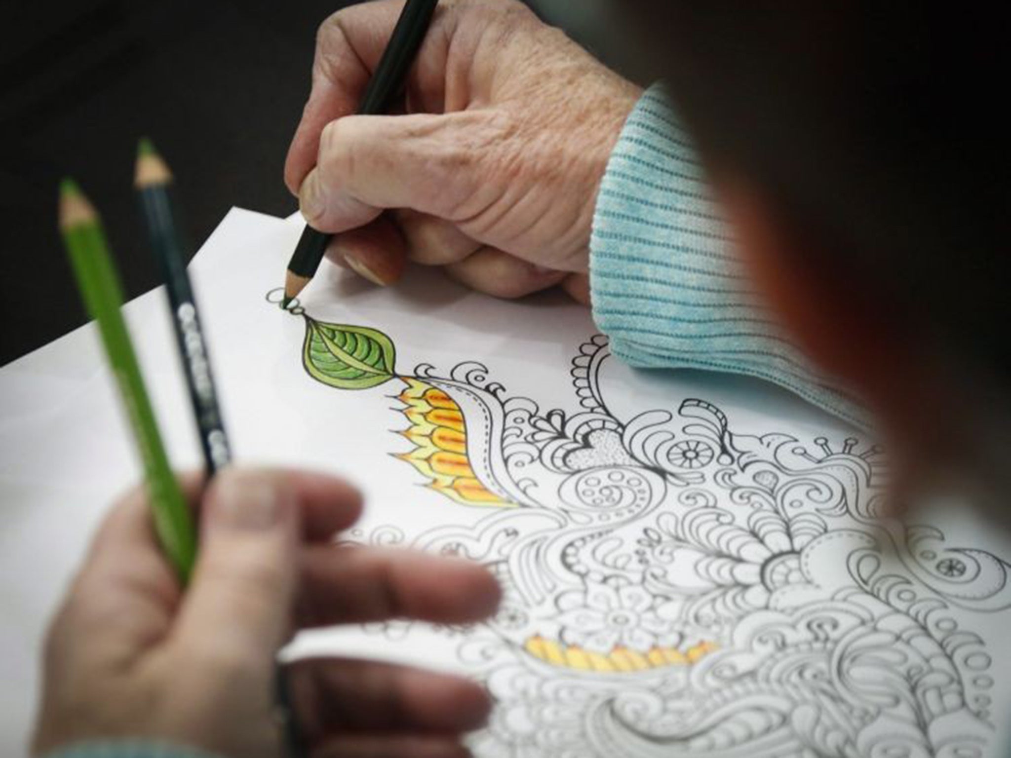 ‘I’ve been in this business for 20 years and I’ve never seen anything like this,’ said one book publisher of the craze for adult colouring