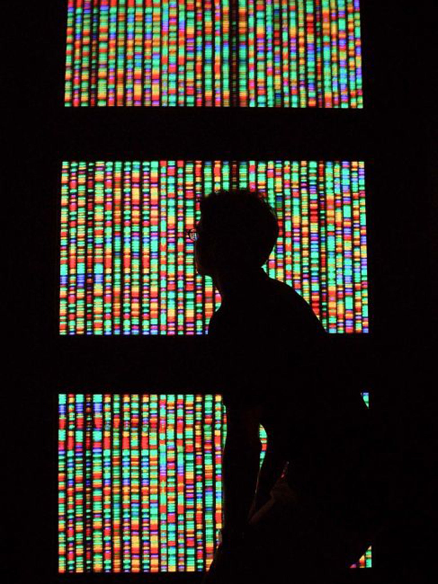 &#13;
Digital representation of the human genome &#13;