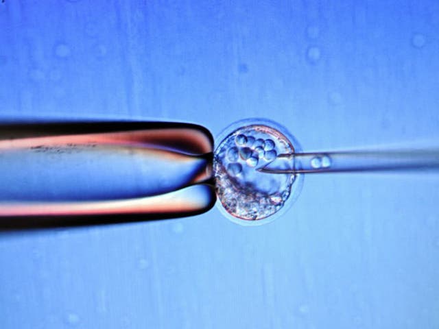 Embryo stem cells